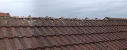 Roof Damaged In Recent Weather